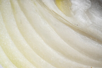 Macro Photo of Part of Onion