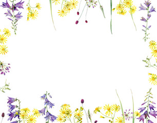 Fototapeta na wymiar Watercolor frame of bellflowers and yellow flowers on white background 