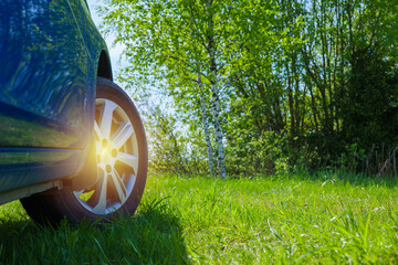 blue car travels in the wild