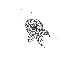 Hand drawn vector abstract stock flat graphic illustration with logo element of line flower art of peony in simple style for branding,isolated on white background.Sacred magic boho feminine concept