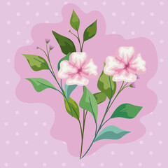 pink flowers with leaves