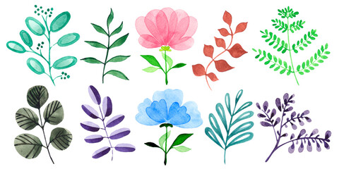 Set of abstract watercolor plants and flowers in vintage style. Handmade.