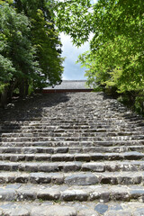 新緑の神護寺　金堂への石段　京都市高雄