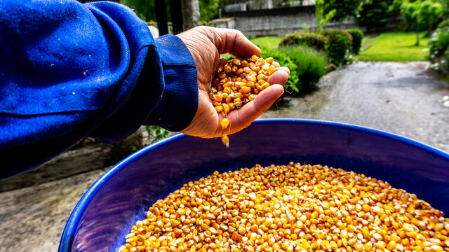 prepared to moler maiz