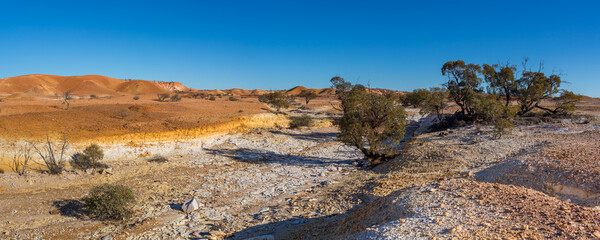 Fototapeta na wymiar Dry creek bed with mallee trees and the Painted Hills in the background. South Australia, Australia.