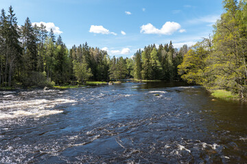 River in the forest. Farnebofjarden national park in north of Sweden.