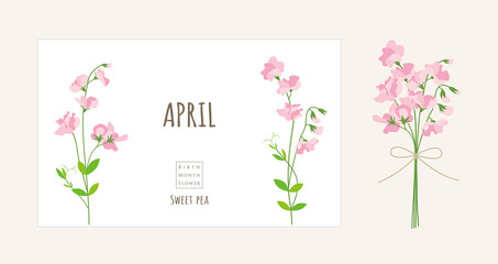 誕生月の花のイラスト｜4月の誕生花、スイートピー - obrazy, fototapety, plakaty