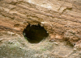 abstract sandstone wall texture, sand, moss and lichen patterns on the wall, suitable for background