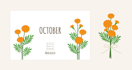 誕生月の花のイラスト｜10月の誕生花、マリーゴールド - obrazy, fototapety, plakaty