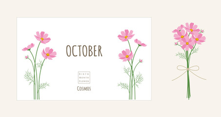 誕生月の花のイラスト｜10月の誕生花、コスモス