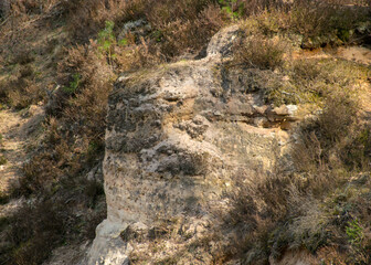 landscape with sandstone outcrops by a small wild river, sandstone texture, old grass, moss and other typical plants, Strikupe, Vaidava, Latvia