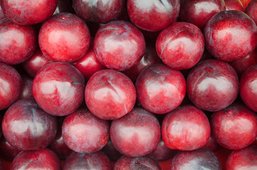 Group of fresh organic plum fruit pile after harvested from the farm