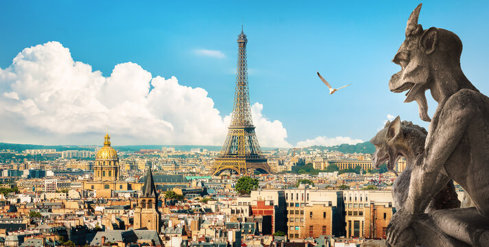 View of Paris and chimeras