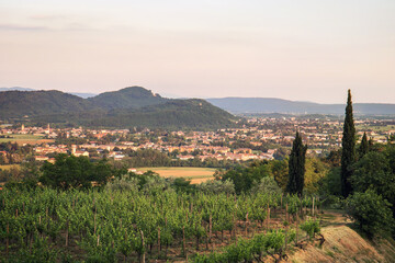 landscape with vineyard from Rosazzo, Italy, beautiful place in friuli-venezia giulia near Udine
