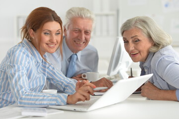 Portrait of businesspeople working in modern light office