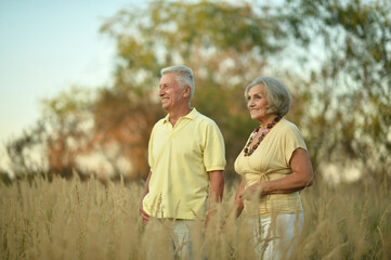 Happy senior couple posing  outdoors