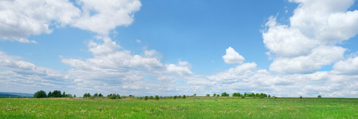 Fototapeta na wymiar Natural summer rustic landscape. green field and blue clouds sky. bright summer countryside background. banner