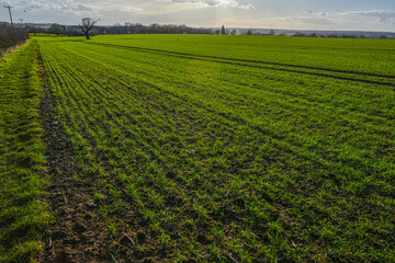 The countryside in England with ploughed and furrowed fields. A farm scene sowing newly sowed crops in the spring time. 