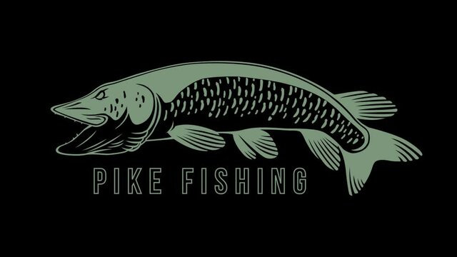 pike fishing