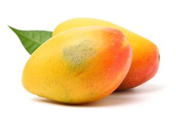 mangos on a white background 