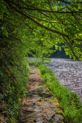 Obraz premium An der wilden Ilz