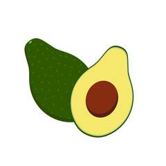 Avocado fruit,Fresh Avocado fruits isolated,Cartoon style. On a white background Vector illustration