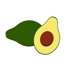 Avocado fruit,Fresh Avocado fruits isolated,Cartoon style. On a white background Vector illustration