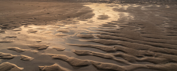 Stunning beach abstract landscape close up with vibrant colors and beautiful golden light