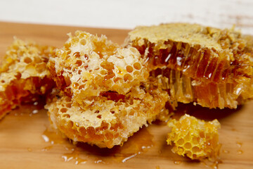 採れたばかりではちみつが詰まっている蜂の巣