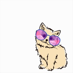 a painted cat with a brush in an abstract style wearing sunglasses on a white isolated background