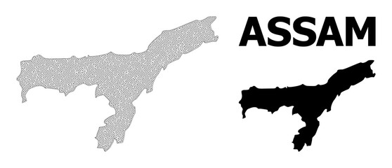 Polygonal mesh map of Assam State in high detail resolution. Mesh lines, triangles and dots form map of Assam State.