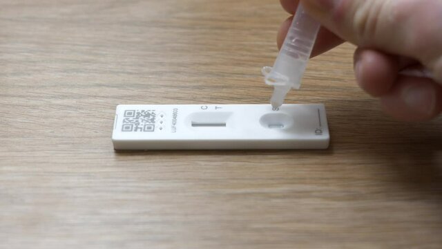 Home covid-19 testing kit. Adding sample to rapid flow coronavirus antigen test
