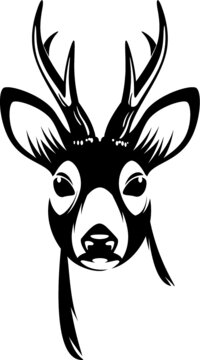 buck deer head
