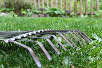 close up of a rake in a garden on a lawn