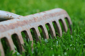 close up of a rake on a lawn