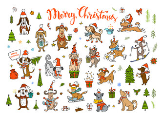 cute funny christmas and happy new year dogs wearing winter santa claus hats scarfs.pets sledding skiing jumping running having fun 