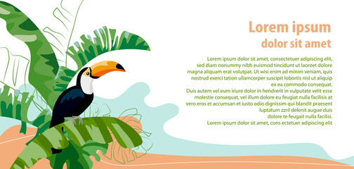 Horizontal banner with tropical leaves and toucan bird on abstract background. Exotic jungle plants.