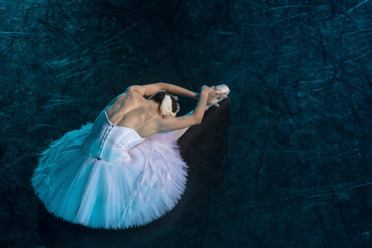 A prima ballerina in the role of "Odette" in the scene of the ballet "Swan Lake" performs at a theater stage