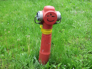 fireman, a red fire hydrant placed in a meadow