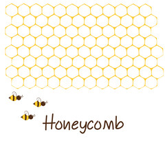 Honeycomb with hexagon grid cells and bee cartoon on white background vector illustration.