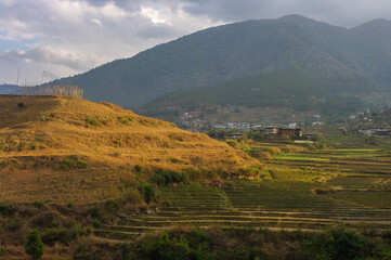 Obraz premium Scenic evening landscape with golden light on hill and rice terraces in the mountains of Lobesa, Bhutan