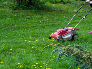 mowing the grass