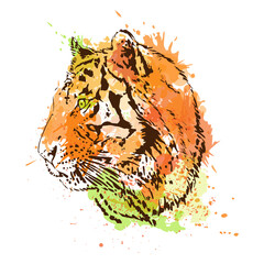 Tiger head, contour graphics on an abstract background of imitation of a watercolor texture. Vector illustration.
