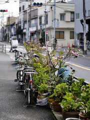 Bicycle parked on a street in Japan