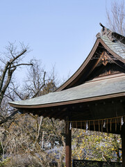 Roof of a japanese temple 