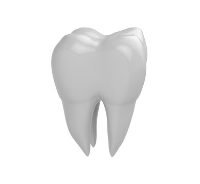 Isolated clean molar tooth on white background. 3D Rendering