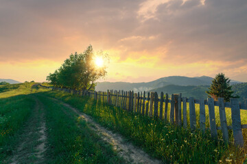 Fototapeta na wymiar Beautiful summer evening scenery with a rural road on a hill and wooden fence along with it at green Carpathian mountains. Sun on a beautiful sunset sky is shining through the green trees.