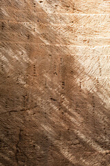 the texture of the rock at the sandstone mining site with rhythmic repeating circular saw marks