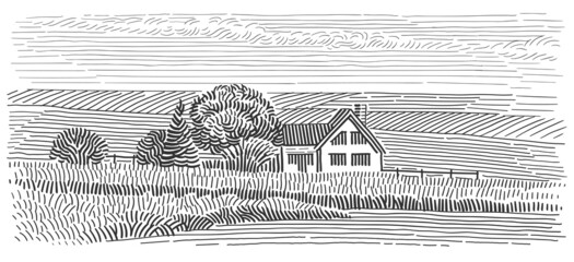 House in field line art illustration. Rural countryside monochrome sketch. Vector. 