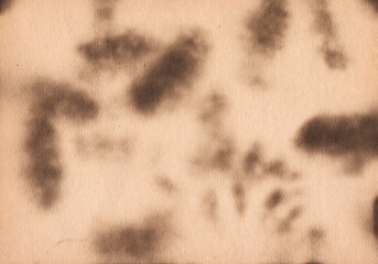 Abstract burned paper background. Vintage style parchament effect.